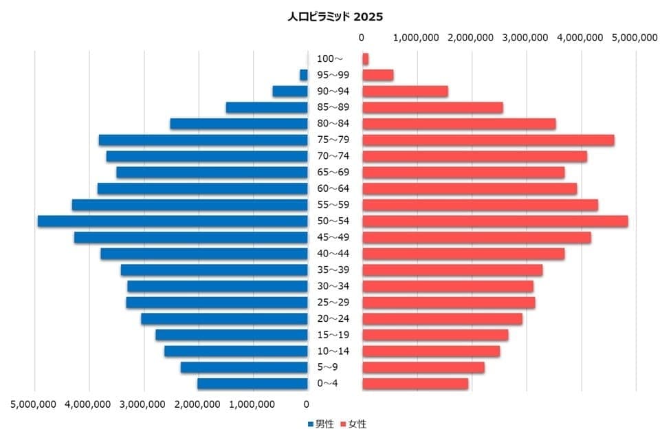 高齢化の進行,2025年の年齢構成