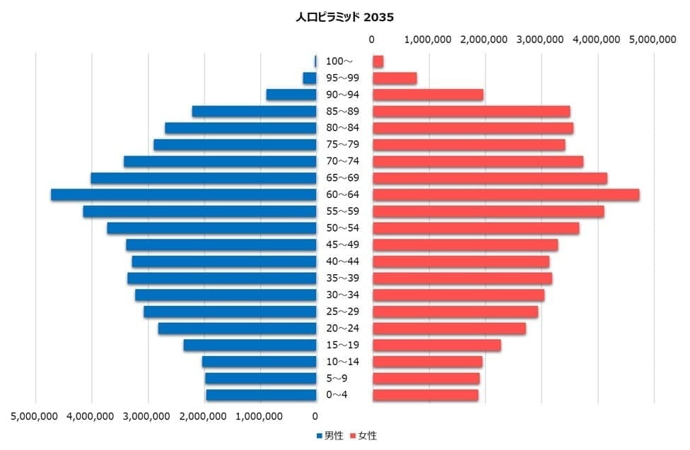 高齢化の進行,2035年の年齢構成